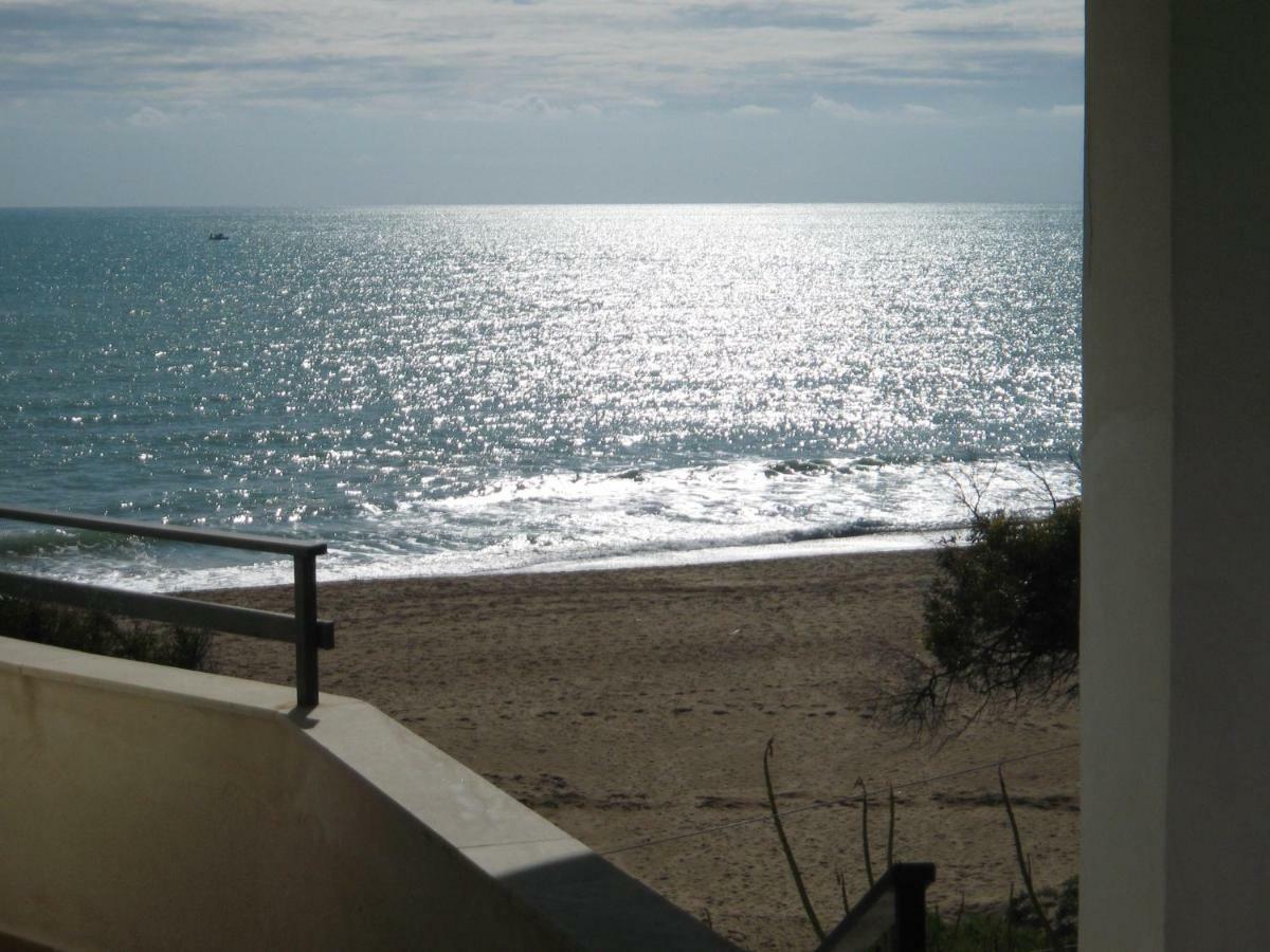 הוילה סן לאונה Seaside מראה חיצוני תמונה
